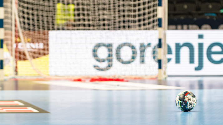 Harz in der Welt des Handballs 